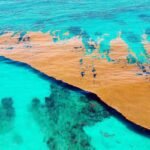 There is one sea on Earth that touches no land, and that is because it has no shore