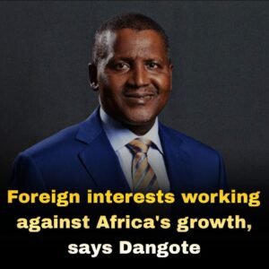 Foreign interests working against Africa’s growth – Dangote