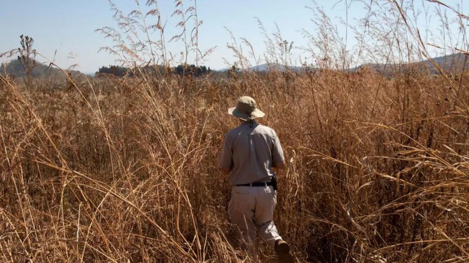 Zimbabwe makes first compensation payments&hellip;