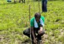 Rights of Nature Ghana Movement joins Earth Care Ghana in Major Tree Planting Exercise at Gomoa Onyinadze -Central Region
