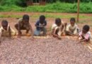 Statement by Ghana Cocoa Board on the Occasion of the World Day Against Child Labour 2026