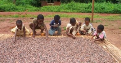 Statement by Ghana Cocoa Board on the Occasion of the World Day Against Child Labour 2026
