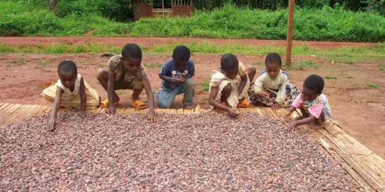 Statement by Ghana Cocoa Board on the Occasion of the World Day Against Child Labour 2026