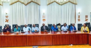 GRIDCo Board Engages Speaker Bagbin on Energy Infrastructure, Akosombo Recovery and Gender Equity