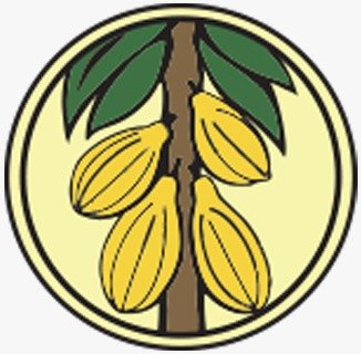 Government Maintains Producer Price of Cocoa for the 2025/26 Light Crop Season Amid Global Price Decline