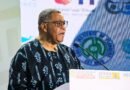 24-Hour Economy to Be Powered by Renewable Energy, Industrial Corridors – Goosie Tanoh