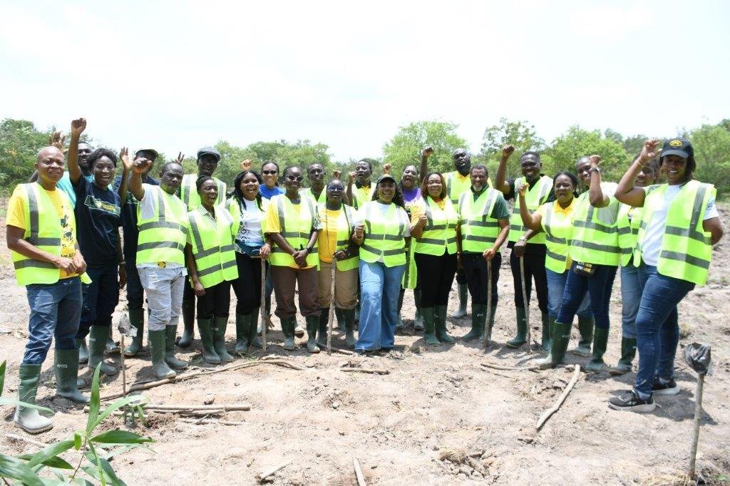 MTN Ghana, Forestry Commission and Rainforest Alliance Join Forces to Restore the Chipa Forest Reserve