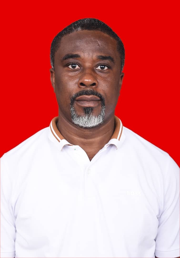 Summertime Kwabillna Ampong Elected Ablekuma North NDC Treasurer