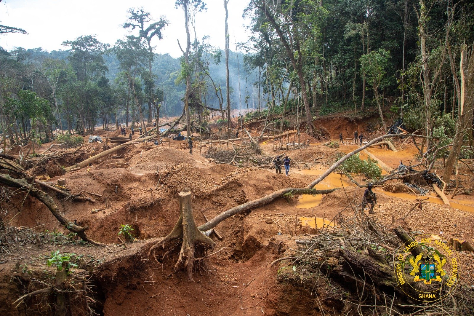 Lands Minister Storms Atewa Forest as NAIMOS Launches Operation Green Shield